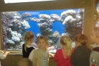 Wizyta w Oceanarium