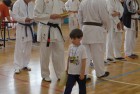 Zawody karate